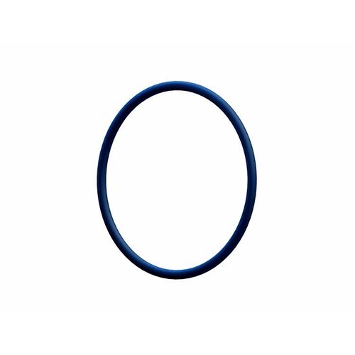 Sonnax O-Ring, Chrysler, Chry A618, Bw310mm, Each