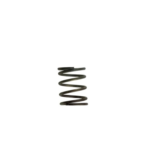 TURBOSMART Gen4 Wastegate Spring, 5PSI, Inner, Brown/Grey, For IWG/WG38/40/45/50L, Each