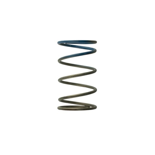 TURBOSMART Gen4 Wastegate Spring, 10PSI, Outer, Brown/Blue, For IWG/WG38/40/45/50L, Each