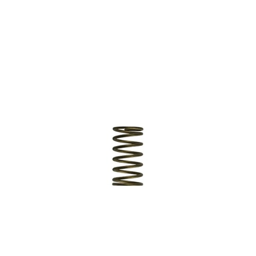 TURBOSMART GenV External Wastegate Spring, 3PSI, Inner, For WG60, Each