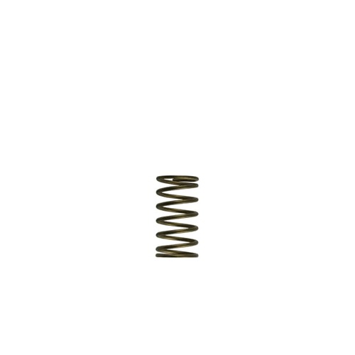 TURBOSMART inner spring,WG60 Gen-V 3psi Inner spring