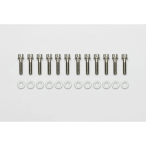 Wilwood Bolt, 12 Point, Stainless, 18-8, 12 Point, 1.000 in. Length, 1/4-20 Thread, Kit