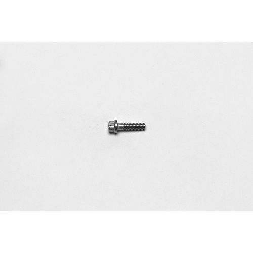 Wilwood Bolt, 12 Point, Stainless, 18-8, 12 Point, 1.000 in. Length, 1/4-20 Thread, Kit