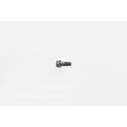 Wilwood Bolt, 12 Point, Stainless, 18-8, 12 Point, 0.750 in. Length, 1/4-20 Thread, Kit